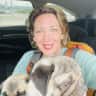 House sit pet parent - STAY WITH 2 ADORABLE, FUN LOVING PUGS IN OLD TOWN AT THE BASE OF THE SKI LIFT!