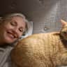 House sit pet parent - Fancy Christmas & Hogmanay in the Southside of Glasgow with a chonky ginger cat?