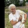 House sit pet parent - Luc and Ross like you to take care of them...