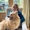 House sit pet parent - Dog sitting in West London