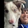 House sit pet parent - Adorable house in San Antonio in need of active sitter for young Border Collie