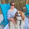 House sit pet parent - 3-Week Summer Stay in Charlotte with Sweet Cavalier + remote worker suitable