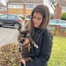 House sit pet parent - Colorful Downtown Oasis w/ Onyx the Dog