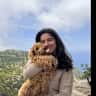 House sit pet parent - Studio in the French Riviera (including a cute host)