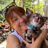 House sit pet parent - Seeking Responsible Animal Lover for Sweet Chihuahua & Turtle & Home Sitting