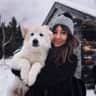 House sit pet parent - Cozy condo downtown with two cool cats