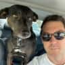 House sit pet parent - Need a sitter in LA to housesit and take care of a friendly dog &
two chill cats
