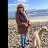 House sit pet parent - A small blonde Lurcher needs your company.