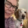 House sit pet parent - Sweet Beagle in suburbs