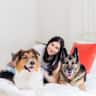 House sit pet parent - Stay in Leslieville & Keep Our Sweet Pup Theo Company