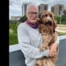 House sit pet parent - Dog lover needed for Gorgeous Labradoodle- Greater London/Kent