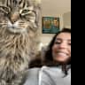 House sit pet parent - Relax in John’s Landing with 2 Feline Friends