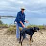 House sit pet parent - Looking for a sitter for our sweet dog Archie in Brighton, close to the beach..