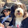 House sit pet parent - Enjoy Sydney while caring for our sweet Bernedoodle Kooky & cozy home