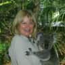 House sit pet parent - Retired couple seek sitter for chocolate Labrador