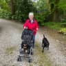 House sit pet parent - South Lakes retreat with fabulous walking