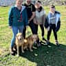 House sit pet parent - House sitting in Hampshire with 2 very friendly dogs!