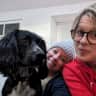 House sit pet parent - Spend the week with Maya and Bandit by the seaside at Cullercoats.