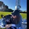 House sit pet parent - Sunny Marina apartment with active, playful pup