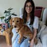 House sit pet parent - Bundoran Penthouse with <2 year old mixed breed Charlie