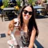 House sit pet parent - Cuddly Cavalier Sit in Tranquil Tierrasanta