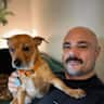 House sit pet parent - Comfortable Dallas Home with the Easiest Dogs You’ll Ever Meet