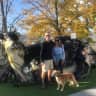 House sit pet parent - Seeking couple for two dogs in village near Caldas da Rainha in April