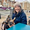 House sit pet parent - Dog sitting needed in Hove beachfront apartment in May