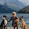 House sit pet parent - 2 Loving Dogs require loving couple pet/home sit in beautiful Puerto Vallarta