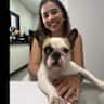 House sit pet parent - A casa é espaçosa com piscina e bem localizada próxima a supermercado e farmácia