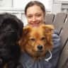 House sit pet parent - BC Living with 2 Little Furry Friends