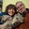 House sit pet parent - The rural dream! 3 super friendly dogs need a little help on their smallholding.