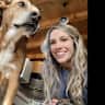 House sit pet parent - Quiet Winter Retreat in the Swiss Hills – Care for Two Sweet Dogs