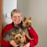 House sit pet parent - Enjoy Ballarat and my fur babies.