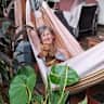 House sit pet parent - Historic colonial home: walk to the center, relax in our peaceful tropical patio