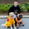 House sit pet parent - Comfy stay in Raleigh, NC with 2 Sweet Dogs!