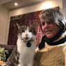 House sit pet parent - One adorable amusing cat in inner Sydney, quiet harbour side convenient location