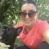 House sit pet parent - Amsterdam with a lovely French Bulldog!