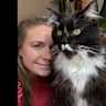 House sit pet parent - Caring cat sitter wanted for my big friendly giant, Benny!