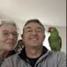 House sit pet parent - Sitter to look after our Amazon parrot