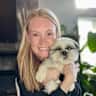 House sit pet parent - Modern home in River West with the best Shih Tzu in town!