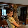 House sit pet parent - Hudson Valley Near Woodstock + 2 Sweet Doggos