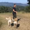 House sit pet parent - Ultimate CA Living Retreat & Hiking Paradise for Dog Lovers