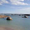 House sit pet parent - PET/HOUSE SITTER REQUIRED FOR 12 days 13th /05/25 t0 24th /05/25
