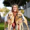 House sit pet parent - Hermosa Beach - Cozy Studio 2 Blocks to Beach, Hot Tub, Pool, 2 Loving Pups