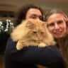House sit pet parent - Fluffy Lui will give you his absolute attention.