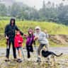 House sit pet parent - Spacious house with pool & gym in South Jakarta in exchange for love for cat&dog