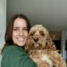 House sit pet parent - Spend a summer getaway in Toronto with my cockapoo, Stanley