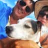 House sit pet parent - Forest walks with Playful Jack Russell in cosy 17th century cottage