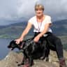 House sit pet parent - Four year old playful Labrador looking for loving house sitter near Stirling